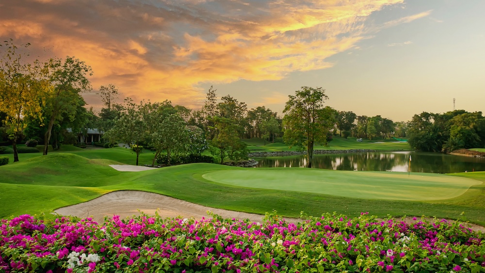 Bougainvillea in full bloom on the golf course
